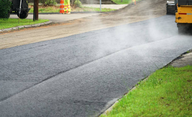 Best Professional Driveway Pavers  in Ely, MN